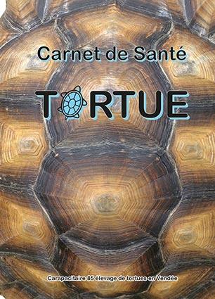 Carnet sante pour site