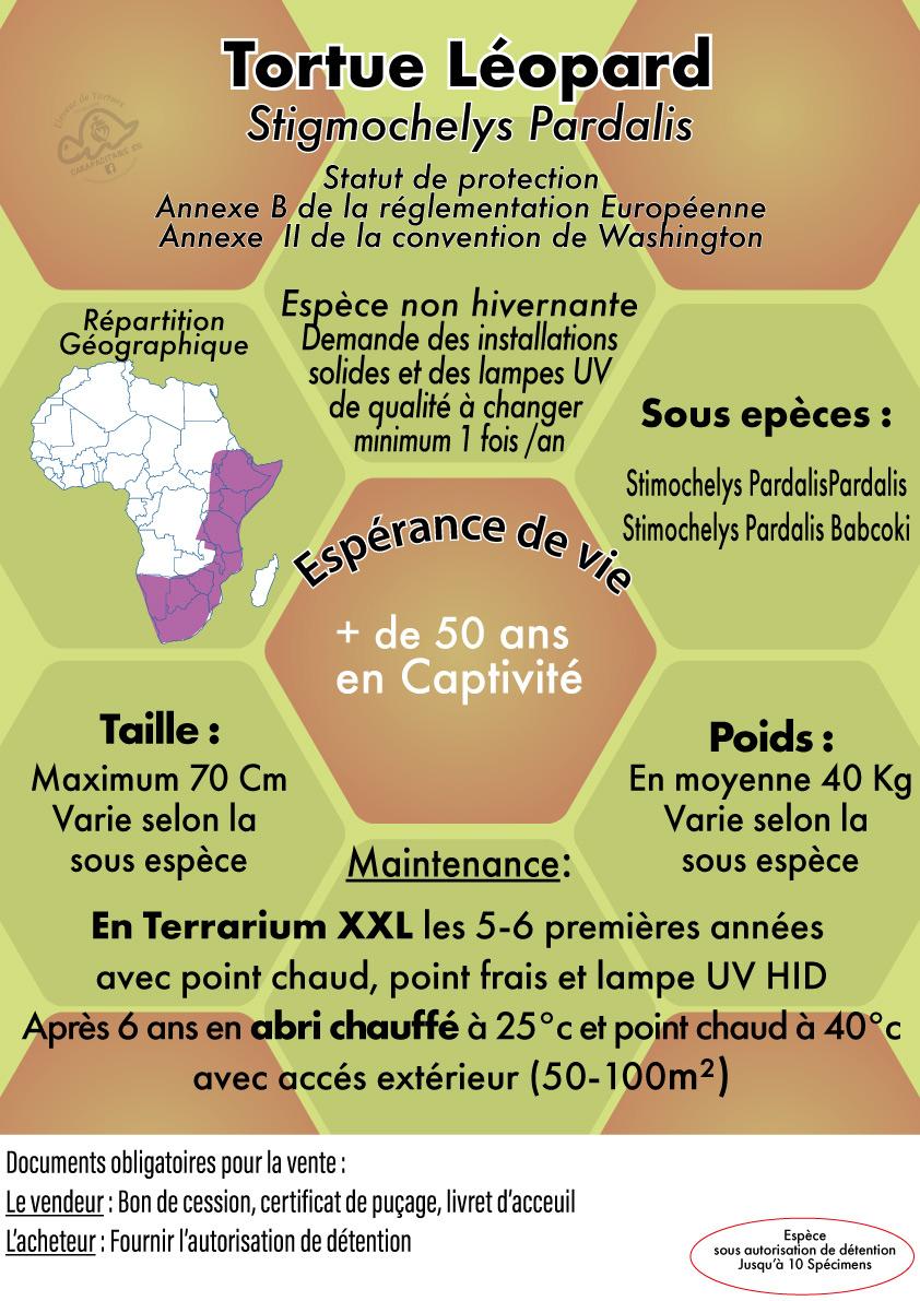 Fiche pardalis carapacitaire85 elevahe tortue site