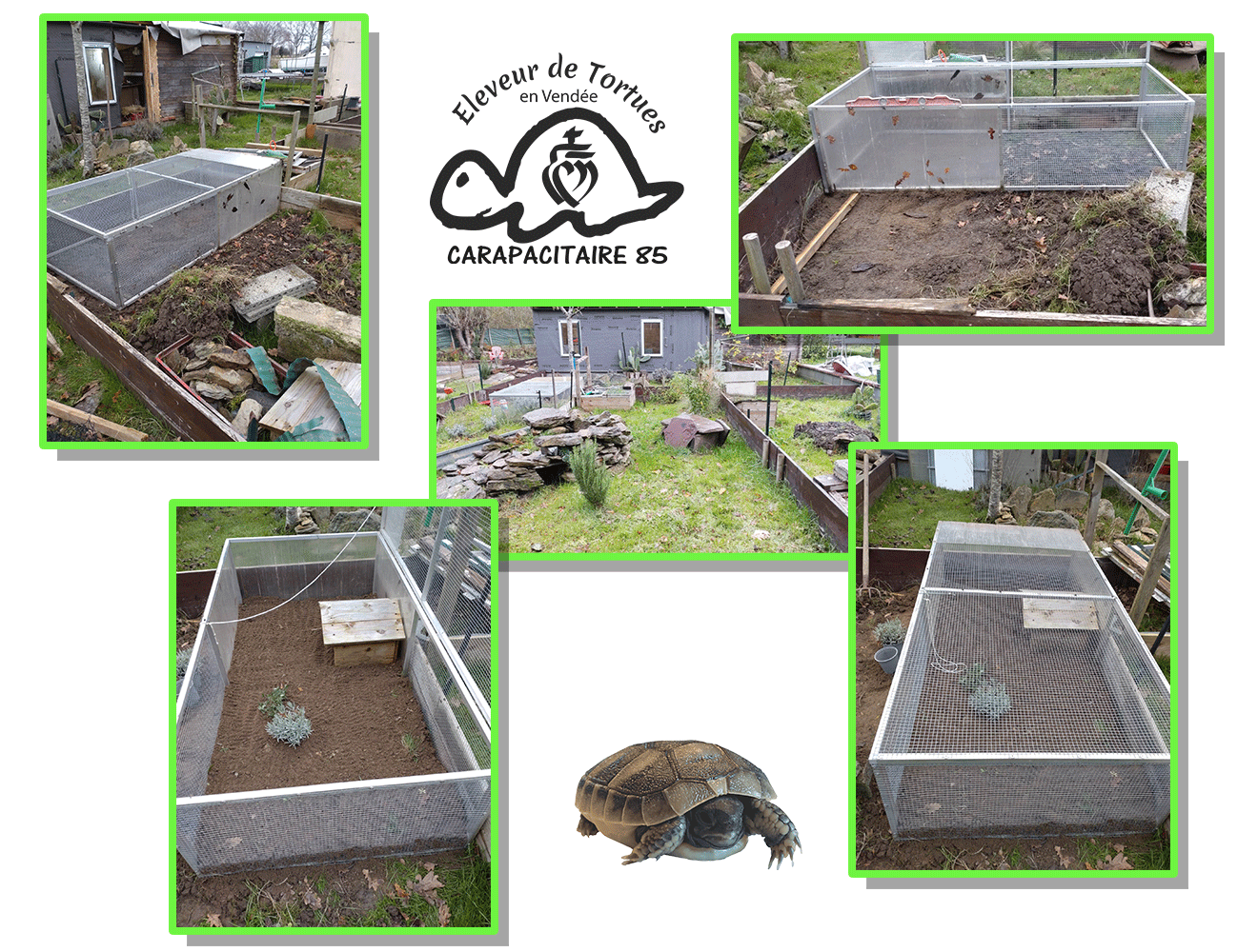 Enclos, abri, cabane, chalet pour tortues exotiques et tortues Hermann