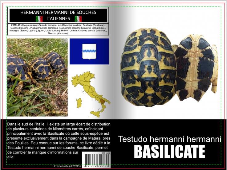 Testudo hermanni basilicate