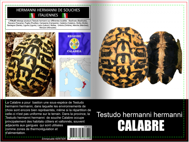 Testudo hermanni calabre