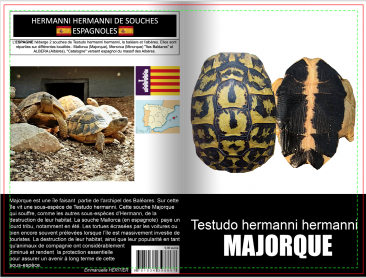 Testudo hermanni majorque