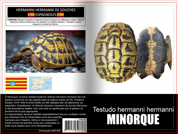 Testudo hermanni minorque