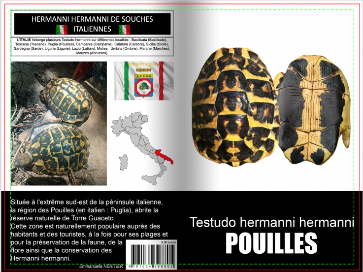 Testudo hermanni pouilles