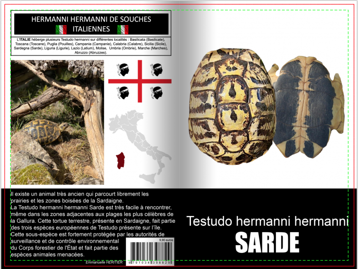 Testudo hermanni sarde