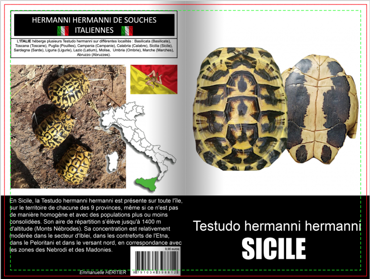 Testudo hermanni sicile