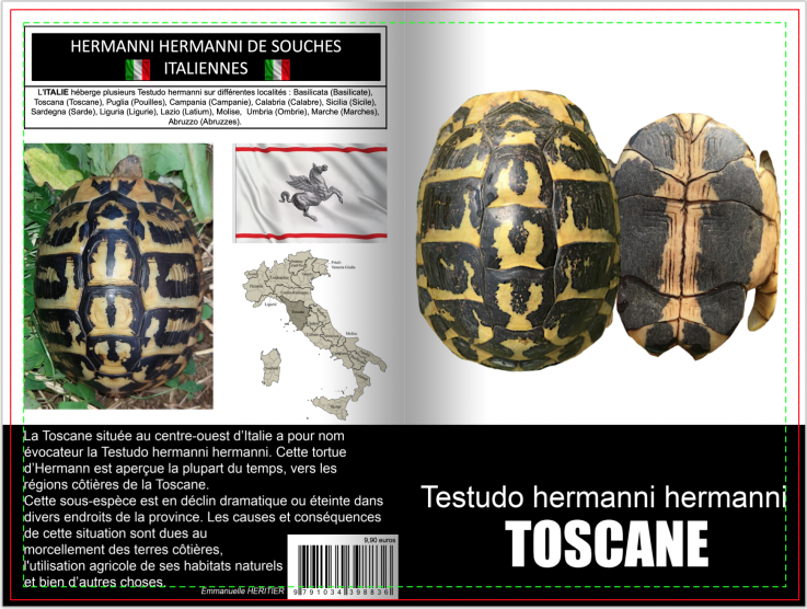 Testudo hermanni toscane