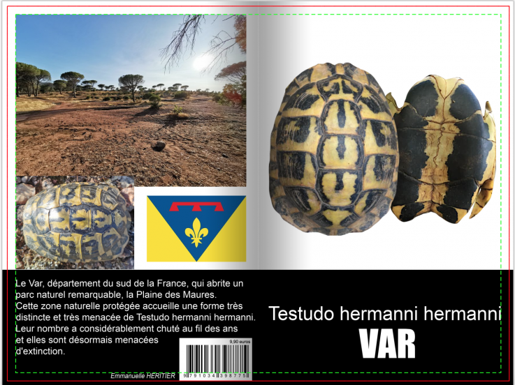 Testudo hermanni var